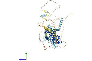 Protein Structure (PS) image for BRF1, RNA polymerase III transcription initiation factor subunit (BRF1) (AA 1-676) protein (His tag) (ABIN7559308)
