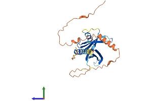 Protein Structure (PS) image for Phosphotyrosine Interaction Domain Containing 1 (PID1) (AA 1-250) protein (His tag) (ABIN7550650)