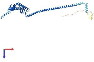 ERLIN2 Protein (AA 1-339) (His tag)