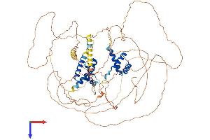 POU2F1 Protein (AA 1-743) (His tag)