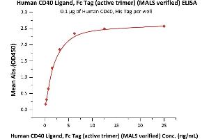 Immobilized Human CD40, His Tag (ABIN2180793,ABIN2180792) at 1 μg/mL (100 μL/well) can bind Human CD40 Ligand, Fc Tag (active trimer) (MALS verified) (ABIN6973010) with a linear range of 0. (CD40 Ligand Protein (CD40LG) (AA 116-261) (Fc Tag))