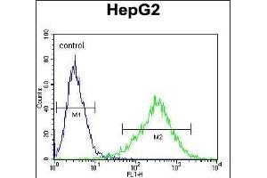 C Antibody flow cytometric analysis of HepG2 cells (right histogram) compared to a negative control cell (left histogram). (Syndecan 1 Antikörper)