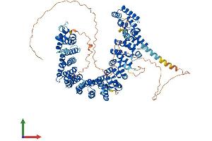 Protein Structure (PS) image for Protein Phosphatase 4, Regulatory Subunit 4 (PPP4R4) (AA 1-875) protein (His tag) (ABIN7559092)