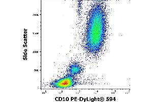 Flow cytometry surface staining pattern of human peripheral whole blood stained using anti-human CD10 (MEM-78) PE-DyLight® 594 antibody (4 μL reagent / 100 μL of peripheral whole blood). (MME Antikörper  (PE-DyLight 594))