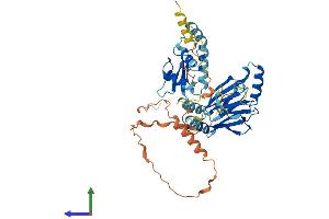 Protein Structure (PS) image for Interferon Regulatory Factor 7 (IRF7) (AA 1-457) protein (His tag) (ABIN7563528)
