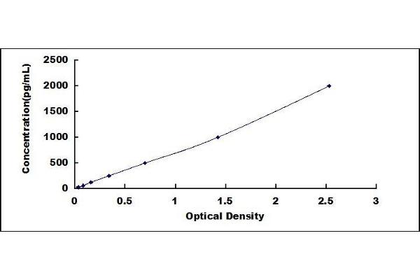 Angiopoietin 1 ELISA Kit