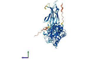 Protein Structure (PS) image for Copine VI (CPNE6) (AA 1-557) protein (His tag) (ABIN7546830)