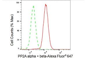 Flow cytometric analysis of PP2A alpha + beta expression in HAP-1 cells using PP2A alpha + beta antibody (ABIN7799891), 1:2,000). (Rekombinanter PP2A alpha/beta Antikörper)