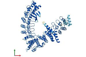 Protein Structure (PS) image for Fem-1 Homolog B (FEM1B) (AA 1-627) protein (His tag) (ABIN7556429)