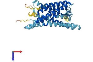 GPR31 Protein (AA 1-319) (His tag)