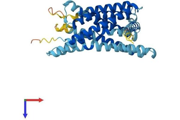 GPR31 Protein (AA 1-319) (His tag)