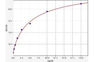 Typical standard curve (FOXP3 ELISA Kit)