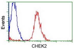 Flow Cytometry (FACS) image for anti-Checkpoint Kinase 2 (CHEK2) antibody (ABIN1497496)