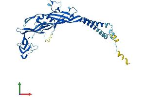 Protein Structure (PS) image for Purinergic Receptor P2X, Ligand-Gated Ion Channel, 4 (P2RX4) (AA 1-388) protein (His tag) (ABIN7561614)