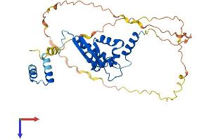 KHDRBS2 Protein (AA 1-349) (His tag)