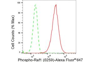 Flow cytometric analysis of Phospho-Raf1 (S259) expression in HepG2 cells using Phospho-Raf1 (S259) antibody (ABIN7800802), 1:2,000).
