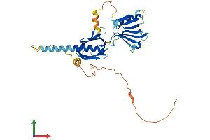 Protein Structure (PS) image for Docking Protein 6 (DOK6) (AA 1-331) protein (His tag) (ABIN7547205)
