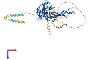 Usp30 Protein (AA 1-517) (His tag)