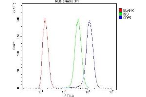 Flow Cytometry analysis of SiHa cells using anti-CD55 antibody (ABIN3043393). (CD55 Antikörper  (AA 35-347))