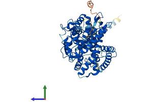 AlphaFold protein structure predicition of Human Recombinant CYP26B1 Protein, UniprotID Q9NR63