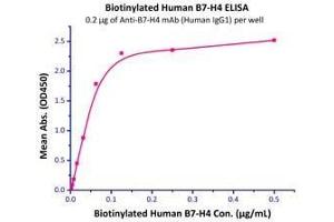 Immobilized anti-B7-H4 mAb (Human IgG1) at 2 μg/mL can bind Biotinylated Human B7-H4  with a linear range of 4-62 ng/mL.