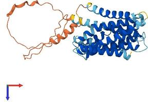 SLC39A11 Protein (AA 1-342) (His tag)