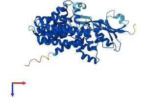 ALG12 Protein (AA 1-486) (His tag)