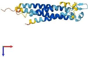 AlphaFold protein structure predicition of Human Recombinant TM4SF18 Protein, UniprotID Q96CE8