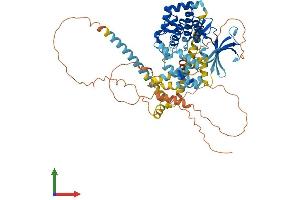 Protein Structure (PS) image for NIMA (Never In Mitosis Gene A)-Related Kinase 11 (NEK11) (AA 1-628) protein (His tag) (ABIN7559085)