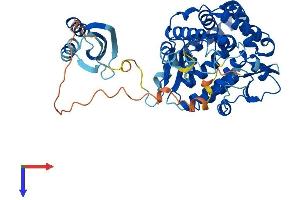 Tryptophan Hydroxylase 2 Protein (TPH2) (AA 1-488) (His tag)