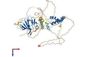 HBP1 Protein (AA 1-516) (His tag)