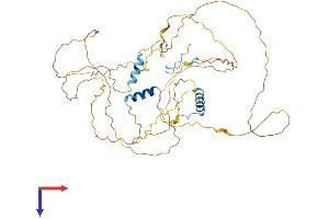 GC-Rich Promoter Binding Protein 1 (GPBP1) (AA 1-473) protein (His tag)