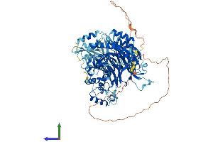 Protein Structure (PS) image for General Transcription Factor IIIC, Polypeptide 4 (GTF3C4) (AA 1-822) protein (His tag) (ABIN7555739)