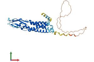 Protein Structure (PS) image for Synaptophysin (SYP) (AA 1-313) protein (His tag) (ABIN7544072)
