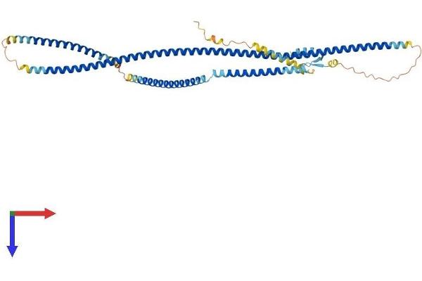 CEP55 Protein (AA 1-462) (His tag)