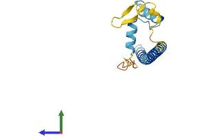 AlphaFold protein structure predicition of Mouse Recombinant Fam167b Protein, UniprotID P17257