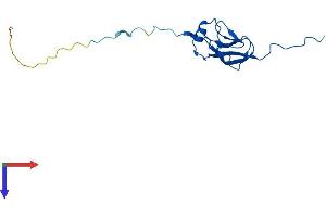 MRPL27 Protein (AA 1-148) (His tag)