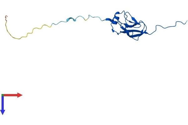 MRPL27 Protein (AA 1-148) (His tag)