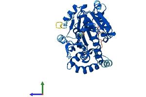 AlphaFold protein structure predicition of Human Recombinant NSUN3 Protein, UniprotID Q9H649