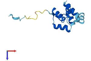 Cornifelin (CNFN) (AA 1-112) protein (His tag)