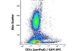 Flow cytometry surface staining pattern of human peripheral whole blood stained using anti-human CD1c (L161) purified antibody (concentration in sample 0,33 μg/mL, GAM APC).