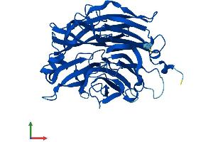 Protein Structure (PS) image for Sialidase 2 (Cytosolic Sialidase) (NEU2) (AA 1-380) protein (His tag) (ABIN7549736)