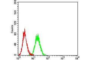 Flow cytometric analysis of Ramos cells using CD16 mouse mAb (green) and negative control (red). (CD16 Antikörper  (AA 17-208))