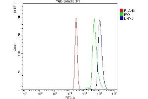 Flow Cytometry analysis of U937 cells using anti-Dynamin 2/DNM2 antibody (ABIN7601862). (DNM2 Antikörper  (AA 498-785))