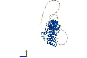Protein Structure (PS) image for F-Box and Leucine-Rich Repeat Protein 7 (FBXL7) (AA 1-491) protein (His tag) (ABIN7557422)