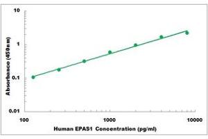 Representative Standard Curve (EPAS1 ELISA Kit)