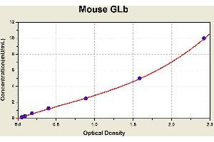 Diagramm of the ELISA kit to detect Mouse GLbwith the optical density on the x-axis and the concentration on the y-axis.
