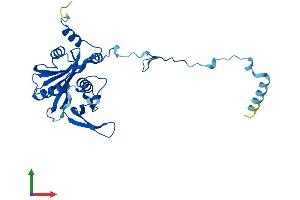 Protein Structure (PS) image for Ribosome Production Factor 2 Homolog (RPF2) (AA 1-306) protein (His tag) (ABIN7551513)