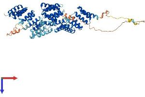 CDC16 Protein (AA 1-620) (His tag)
