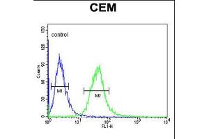 Flow cytometric analysis of CEM cells (right histogram) compared to a negative control cell (left histogram). (AMY1A Antikörper  (AA 195-223))